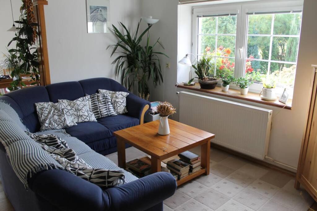Krasny Apartman V Brane Luzickych Hor Cvikov Екстериор снимка