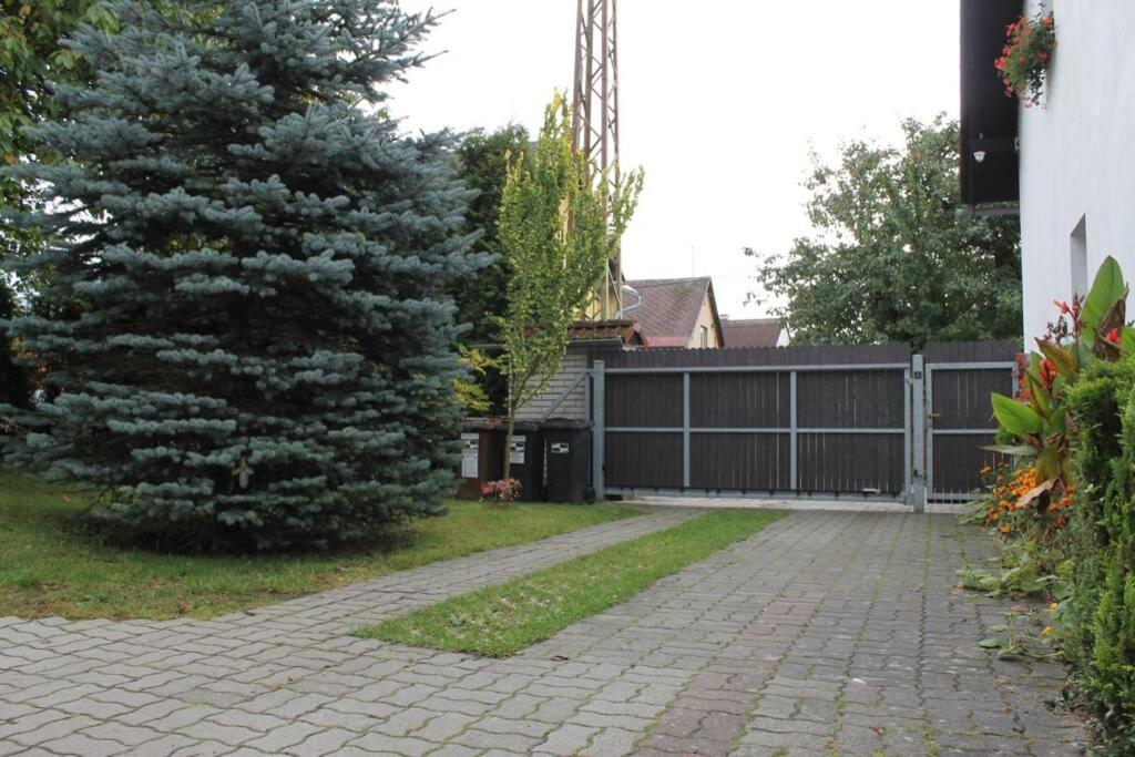 Krasny Apartman V Brane Luzickych Hor Cvikov Екстериор снимка